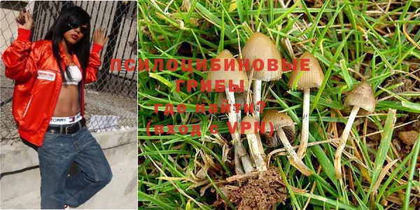 шишки Одинцово